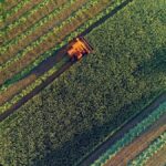 Potash Power Play: Why This Overlooked Commodity Could Be Canada’s Trump Card